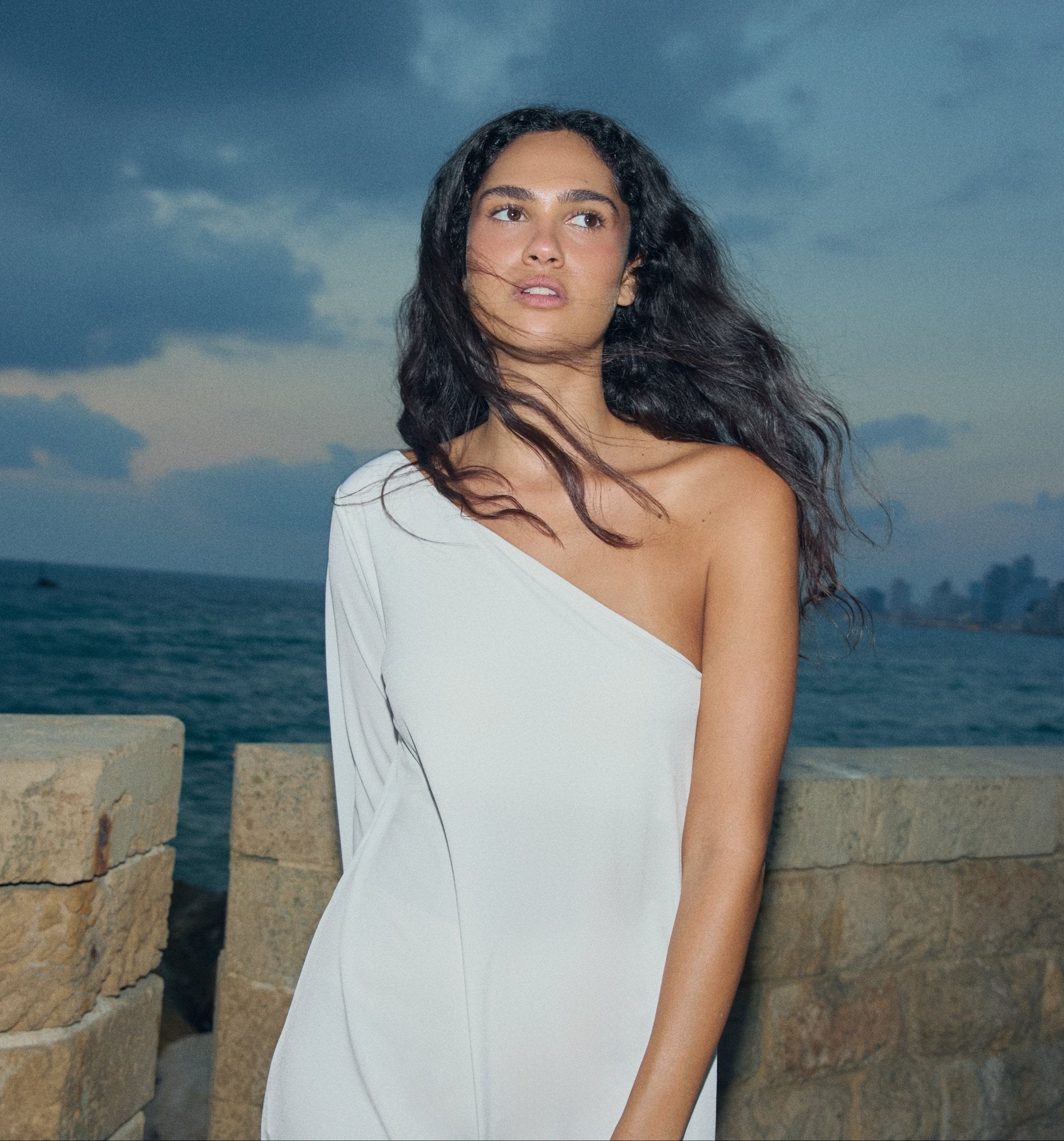 Ellie Dress - Veler